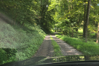 A winding road in West Virginia